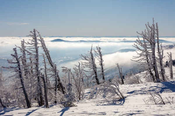 Sheregesh freeride and ski touring, Russia 2023